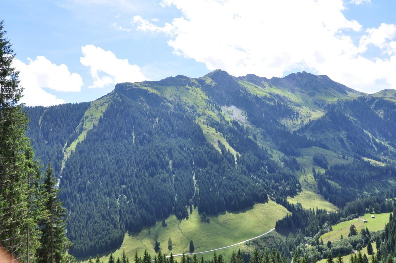 Almhuette Lengau Villa Saalbach-Hinterglemm Dış mekan fotoğraf